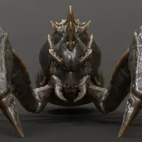 The bug