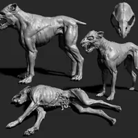 Dog