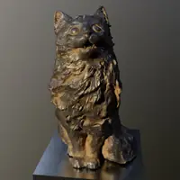 Surprised kitty