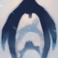 Pinguin